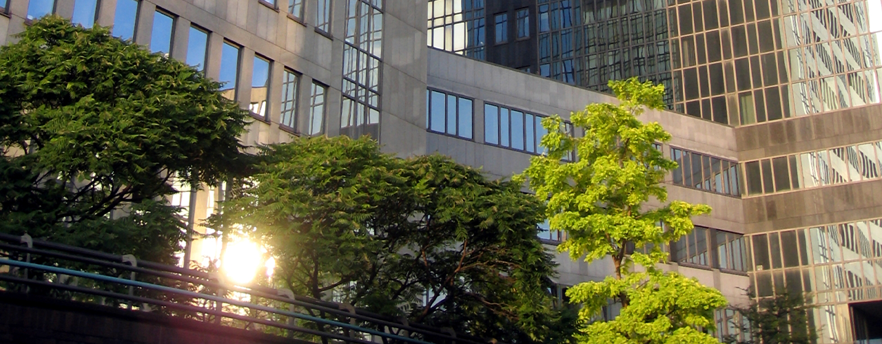 foto_header_prueba